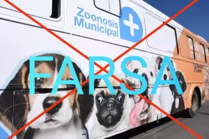 La Red Solidaria Animal convoca una movilizacin para reclamar mejoras en el servicio de castracin: "con los animales no"