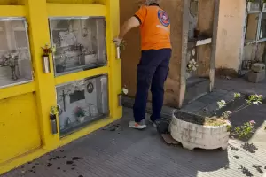 Refuerzan tareas de prevencin contra el dengue