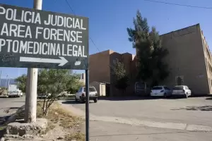 Lo arrestaron por el robo de un auto y se arroj del patrullero en movimiento