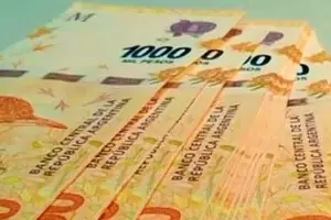 Segunda parte del Refuerzo de Anses: cheque con tu DNI cundo cobras