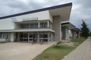 Una adolescente quiso frenar una pelea, la golpearon, se cay y muri