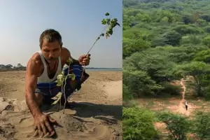 Inspirador: un hombre plant rboles a diario durante ms de 40 aos y salv una isla