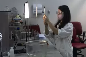 Avanzan los proyectos de producci�n de vacunas de origen nacional