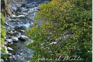 Suena el monte, proyecto documental catamarqueo seleccionado por el INCAA