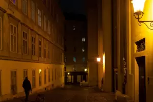 Austria entr en un nuevo confinamiento total y hubo protestas