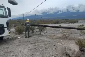 Incendio de pastizales derrib postes de luz y mantiene sin energa a una zona de Capayn