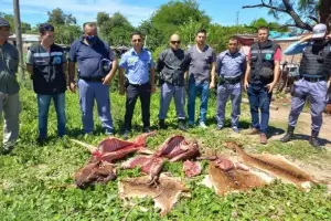 Salvajes: robaron ciervos de una reserva, los mataron a palazos, los carnearon e hicieron un asado
