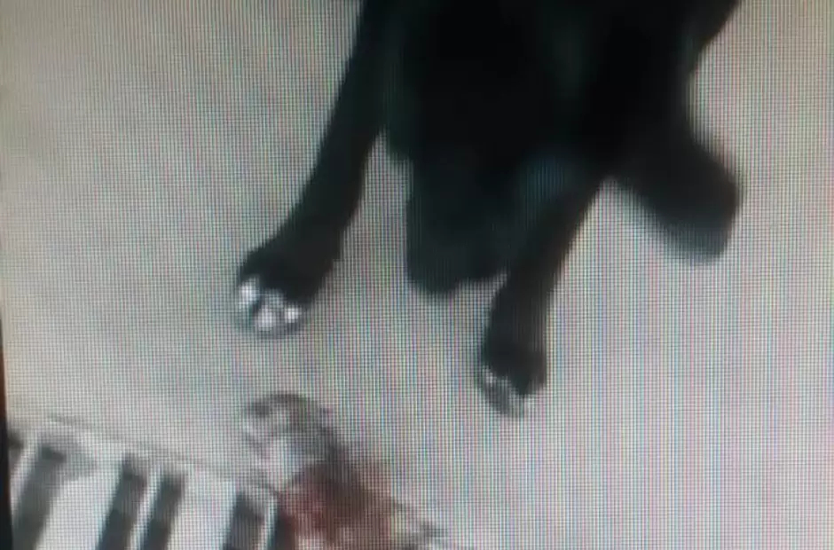 Captura de pantalla de video gentileza de Radio Valle Viejo