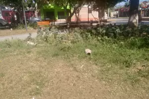 Vecinos denuncian que pasaron las elecciones y la plaza est abandonada