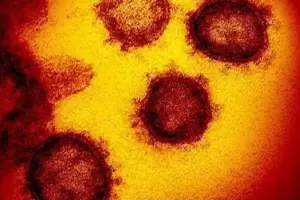 Obtuvieron la primera imagen tridimensional de micron e identificaron mltiples mutaciones