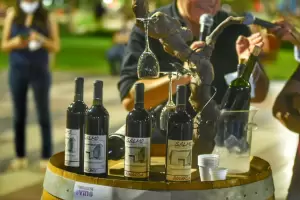 Exitosa 5 edicin de la feria vitivincola en Tinogasta