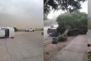 Fuerte temporal en San Luis: ca�da de �rboles, techos salidos y accidentes en las rutas