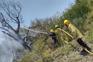 Sofocan incendio en un complejo de Fray Mamerto Esqui, sobre Ruta 1