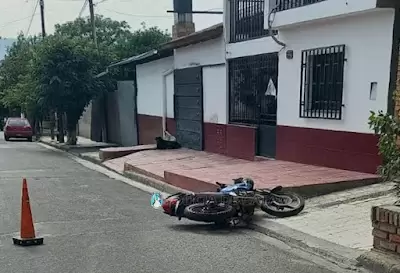 siniestro cria segunda