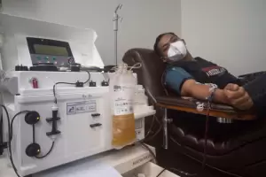 La OMS recomend no tratar con plasma a pacientes de coronavirus con sntomas leves o moderados