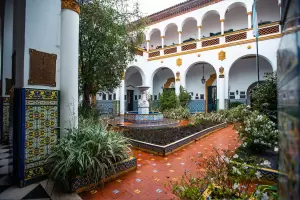 Un grupo de estudiantes provocaron destrozos en su colegio durante la fiesta de egresados