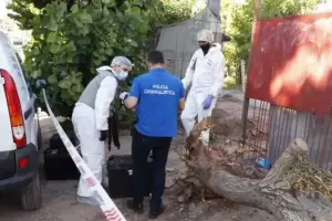 Lo encontr desmayado: la frase del padrastro a la mam del nene de 2 aos asesinado a golpes en Neuqun