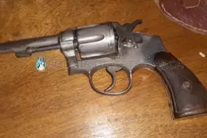 Secuestran plantas de marihuana y un revlver en un domicilio