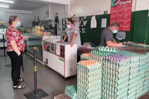 Acciones de prevencin de Salmonella