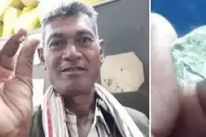 Un granjero encontr un diamante de 13 quilates mientras trabajaba en el campo y ahora es millonario