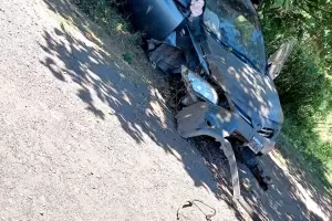 Un adolescente de 16 aos perdi el control del auto y choc con un poste y un rbol de moras