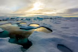 Rcord de calor en el rtico: se registr una temperatura superior a los 38 grados por primera vez en la historia