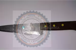 Violencia de g�nero: un hombre apu�al� a su expareja