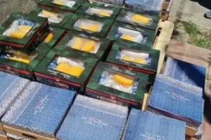 Un hombre denunci� que fue estafado por 1,9 millones: a trav�s de su emprendimiento entreg� 190 cajas navide�as premium que nunca fueron pagadas