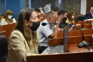 Luz verde a la expropiacin de los terrenos colindantes al Aeropuerto Felipe Varela