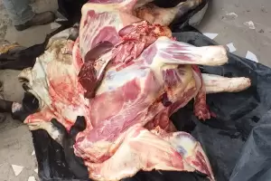 Rob un novillo de 200 kilos, lo llev a su casa y la polica lo encontr