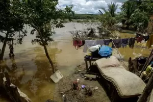 El Nordeste de Brasil, bajo el agua: desde noviembre no para de llover, hay inundaciones y muertos