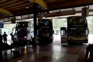 Alerta en Tucum�n: dos colectivos llegaron con 37 casos positivos desde C�rdoba