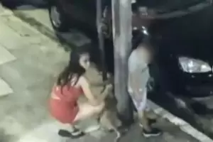 Maltrato animal: vestida para el brindis de Navidad junto a un nio, una mujer at a un perro a un poste y lo dej abandonado