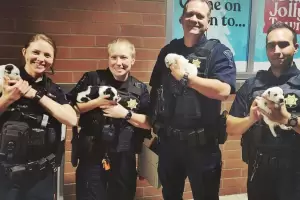 Polic�as adoptaron a cinco perritos que encontraron abandonados en Navidad