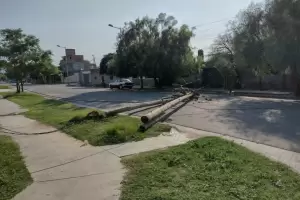 Alerta en F.M.E por rboles y postes caidos a causa del viento