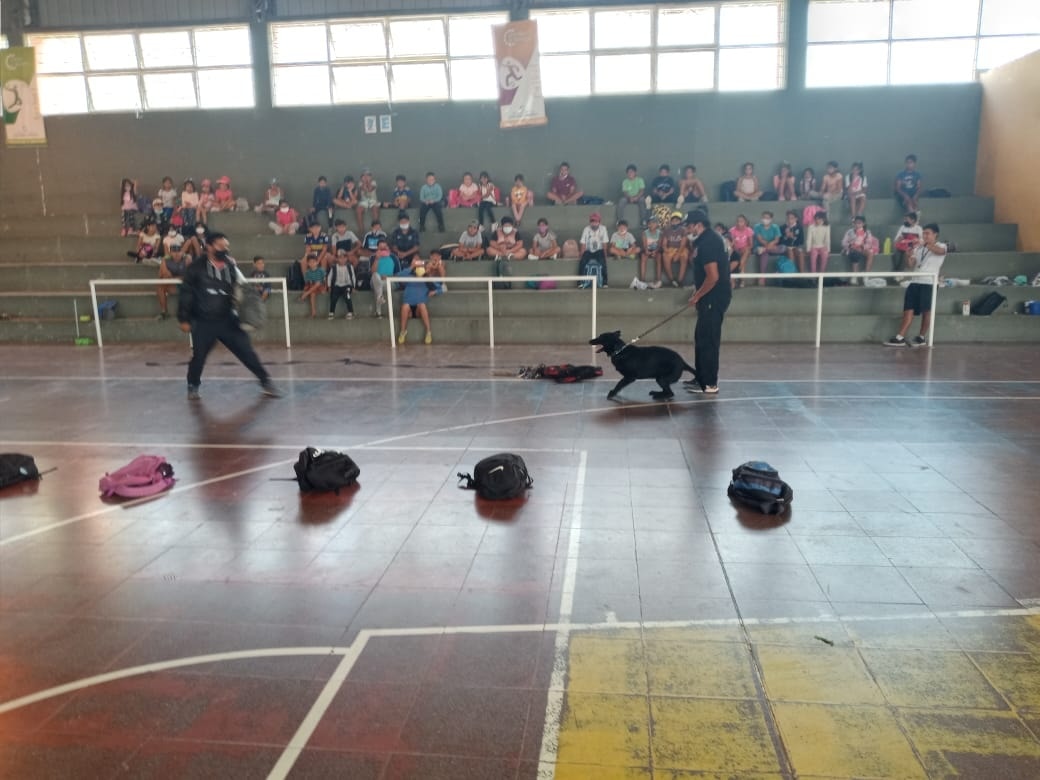 Exhibición de canes de la Policía en Santa María La Unión Digital