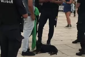 Un hombre le pegaba a su cachorro y un grupo de turistas recaud $4000 para comprar y salvar al perro