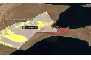 Ms de 77.000 hectreas ya fueron consumidas por las llamas en el sur del pas