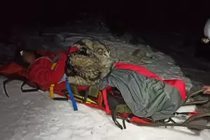 Un montaista fue salvado de la hipotermia por un perro que estuvo 13 horas recostado sobre l para darle calor