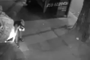 Brutal ataque: una mujer intent� prender fuego a un indigente