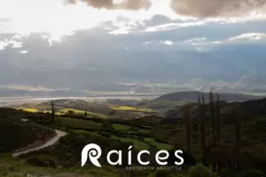 Convocatoria 2022 a la residencia artstica "Races", en Aconquija