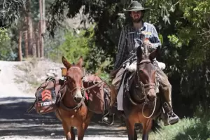 Travesa: Viaj 8.000 kilmetros en mula para llegar al festival de Jess Mara