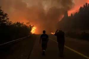 Los bosques de Ro Negro volvieron a arder y el fuego cruz la ruta nacional 40