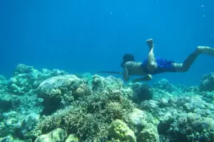 Los nmades del mar: la tribu que aprendi a vivir hasta 13 minutos en apnea bajo el agua