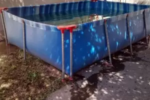 Tragedia en San Juan: una nena de 3 aos quiso rescatar a su gato y muri ahogada