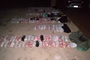 Incautaron un valioso cargamento de fibra de vicua procedente de Antofagasta de la Sierra