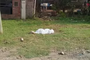 Descubrieron a una jaura comindose un feto en un descampado en Salsipuedes