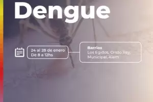 Dengue: cronograma semanal de acciones