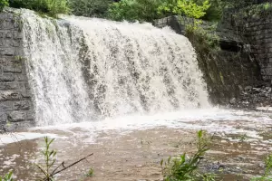Por la turbiedad en el Ro El Tala habr restricciones en la zona norte