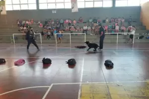 Exhibicin de canes de la Polica en Santa Mara